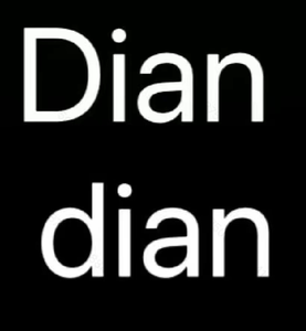 Diandian Clothing