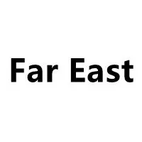 Far East Future1 shop logo