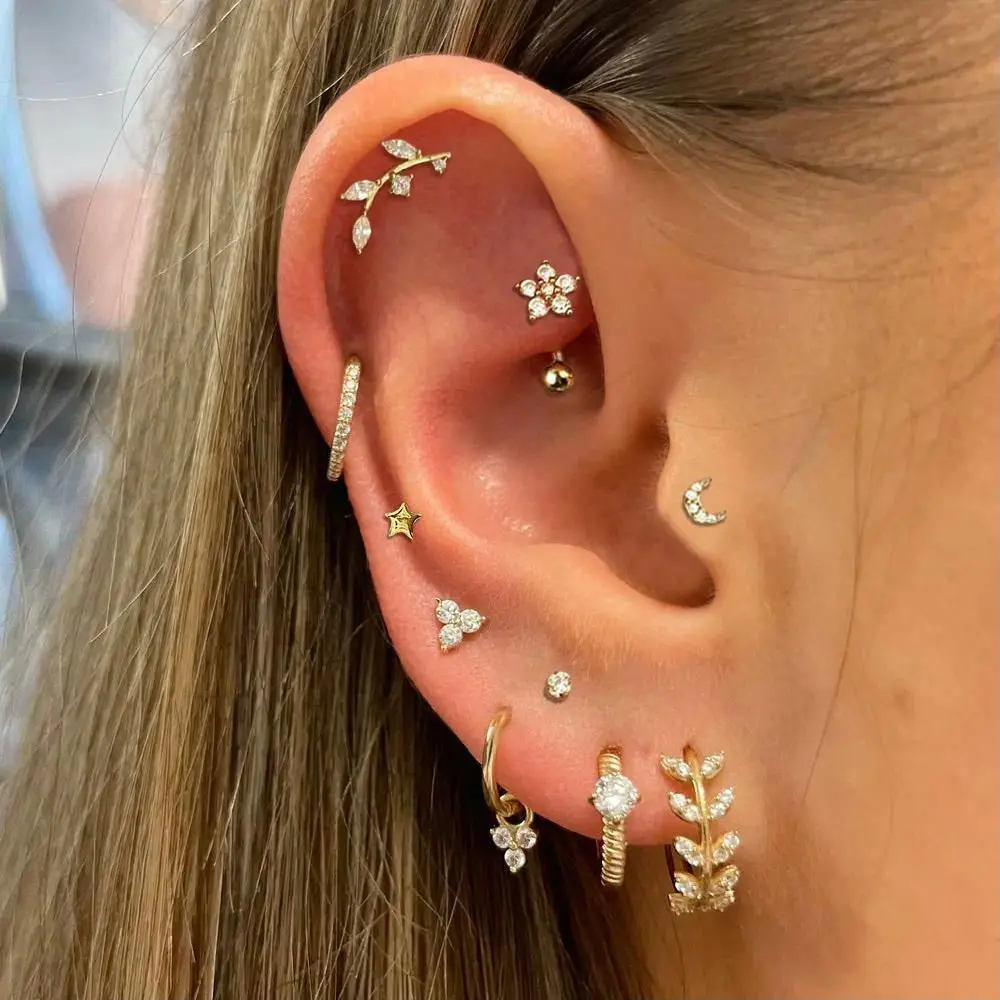Rook Tragus Helix Lobe Ear Piercing Stud Earring Zircon Hoop Earring Women Star Moon Flower Cartilage Septum Piercing Jewelry