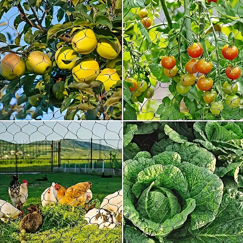 Multi-Scene Protection, Affordable Choice, Pond Barrier Net, Large Coverage, Garden Fence, Chicken Coop, Farm Isolation, Reusable, Durable
