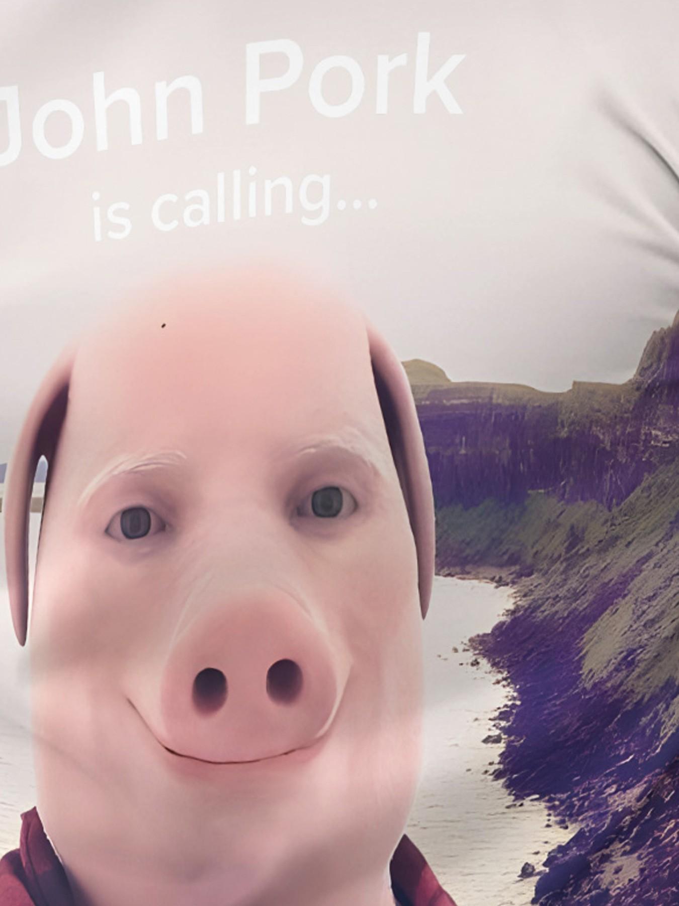 Men's Printed T-Shirt and Shorts Set, John Pork 3D Print Short Sleeve Tee and Casual Shorts, Unique Cool Street Style Outfit