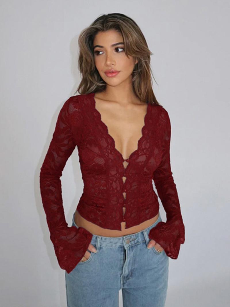 Women's Plain Lace Top, Elegant Long Sleeve V Neck Top for Spring, Women's Clothing for Daily Wear
