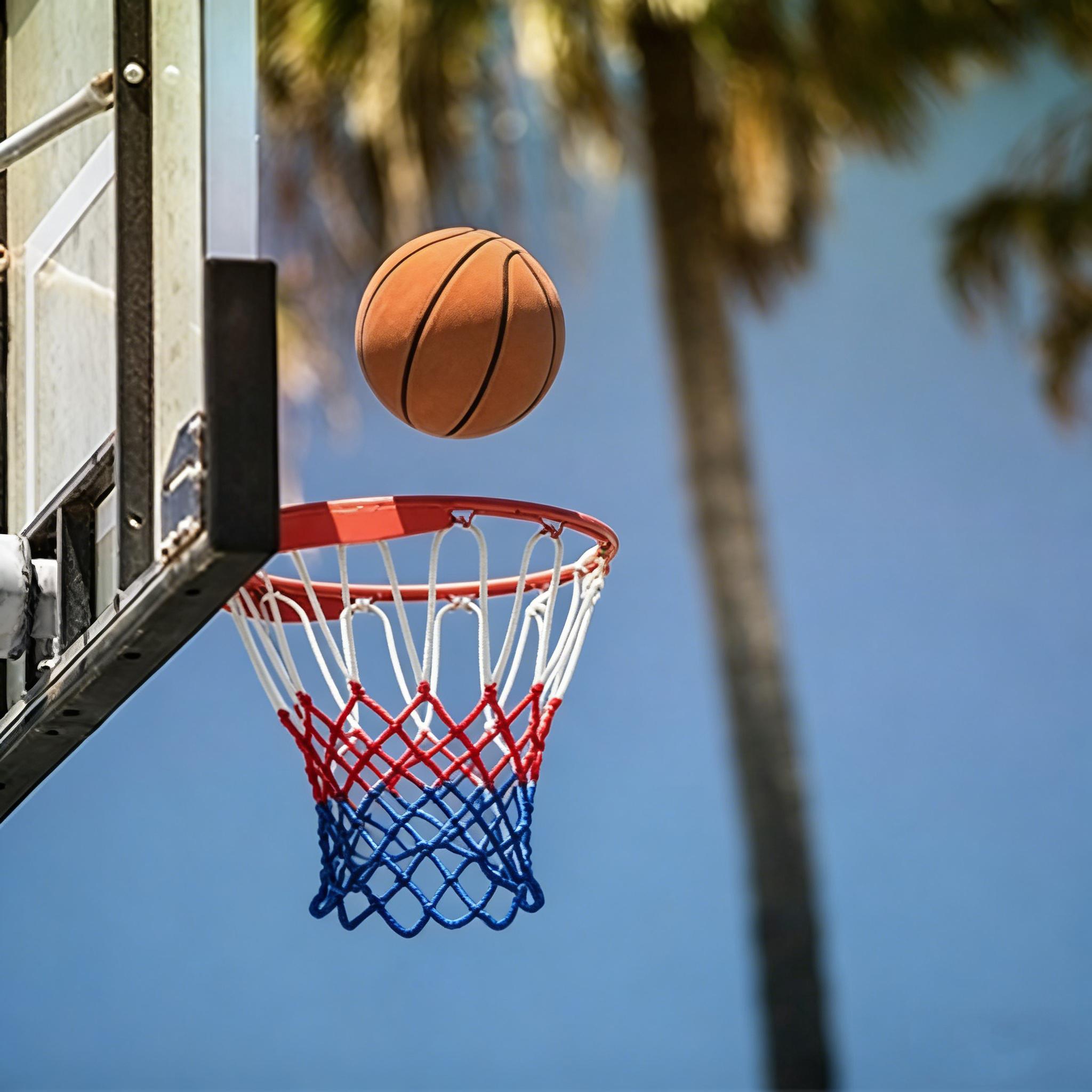 Basketball Net Replacement, Upgrade, All-Weather Resistant, Suitable for Standard Indoor or Outdoor 12-Ring Edge