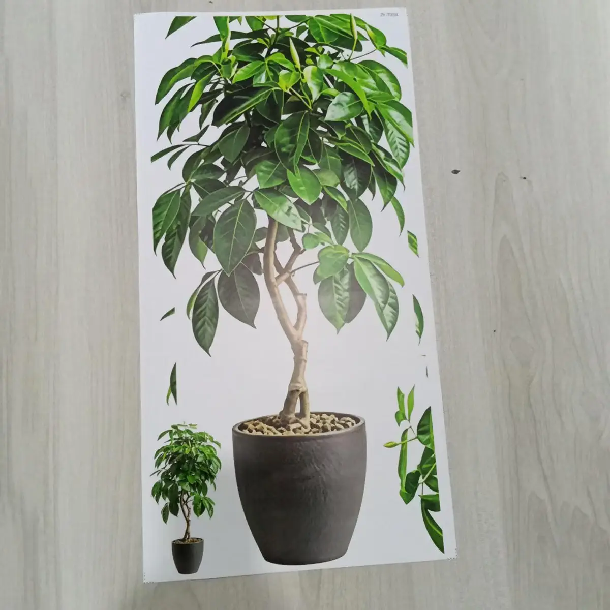 Realistic Fortune Tree Potted Plant Wall Sticker, Self-Adhesive Waterproof Wall Decal, Living Room Entrance Greenery Decorative Art, Wall Stickers Decor, Decoration Items