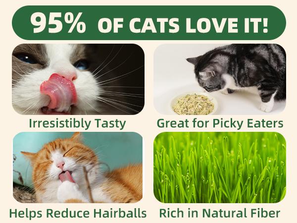 Wellix 7.5oz Cat & Dog Cat Grass Food Topper - Chicken, Egg Yolk, Cat Grass | Freeze Dried Chicken Formula | Low Calorie | Support Hairball Control & Gut Health | Natural, Nutritious, Yummy