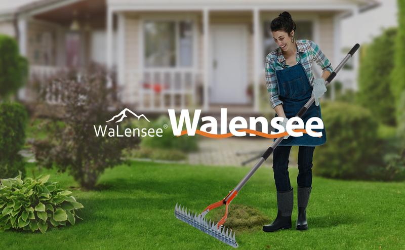 Walensee Thatch Rake, 15-Inch Lawn Thatching Rake, Robust Dethatcher Rake, Efficient Steel Metal Rake with Handle, Versatile Grass Grooming Rake for Cleaning Dead Grass