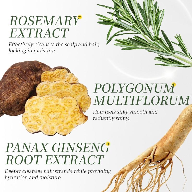 Mejisoo Rosemary Shampoo, Oil Control and Dandruff Removal, Improves Flat Hair, Volumizing, Rosemary + Polygonum + Ginseng Extracts