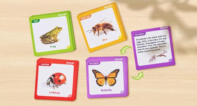 JoyCat Life Cycle Learning Education Toys, Insect Caterpillar to Butterfly kit, Bee, Tadpole to Frog Kit Life Cycle Toy, Preschool Learning Activities