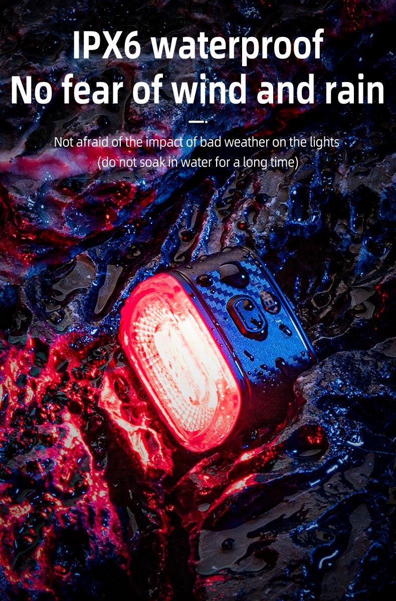 ROCKBROS Bicycle IPX6 Waterproof Taillight Type-C Rechargable Light Smart Auto Brake Sensing LED Rear light Q2S Bike Accessories