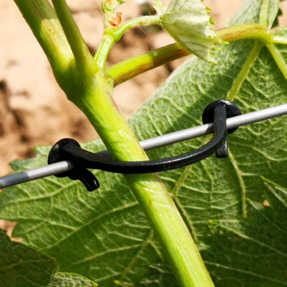 200pcs fixed clip garden gardening fixed clip plant support sapling branch fixed clip blueberry seedling hook bonsai multifunctional gardening clip grape blueberry clip kiwi fruit binding clip