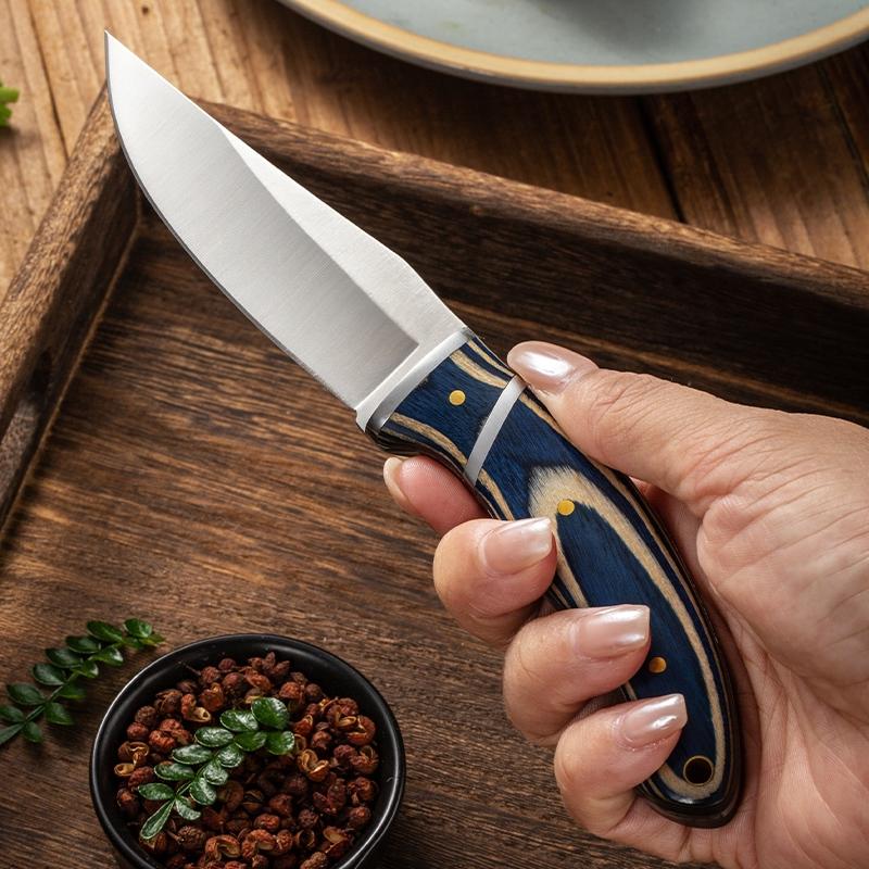 Stainless Steel Steak Knife, 1 Count Wooden Handle Fruit Knife, Durable Kitchen Knife for Home Kitchen, Kitchen Accessories, Stainless Steel Knives