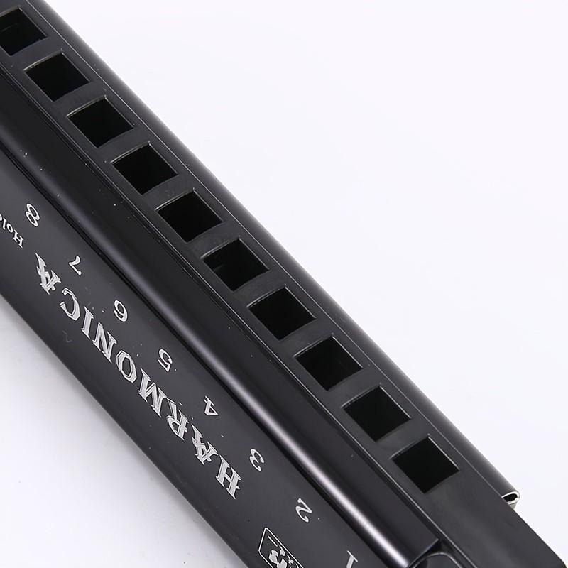 10 Hole Harmonica C Key, Durable Plastic Polished Finish, Includes Protective Case, Ideal Gift for Beginners, Gold Silver Colors Available