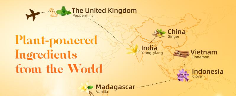 ASAKUKI Essential Oil Diffuser+ 6 Essential Oils Set 6x10ML for Home&Office,  Large Home, Fragrances Oil Aroma Humidifier, 7 LED Light Color, Timer and Auto-Off Safety Switch, house smell good products, Christmas Holiday gift, Aromatic Woody