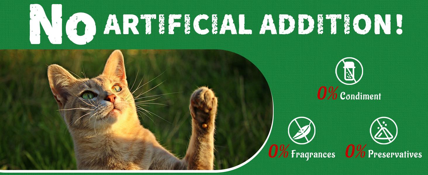 Just Try Cat Treats, Cat Grass Treats, Natural Salmon Flavor Healthy Cat Snacks, Training Biscuits Treats for Cats, Catnip for Cats, Crunchy Fish Shape Adult Cat Snacks, 13.4 oz