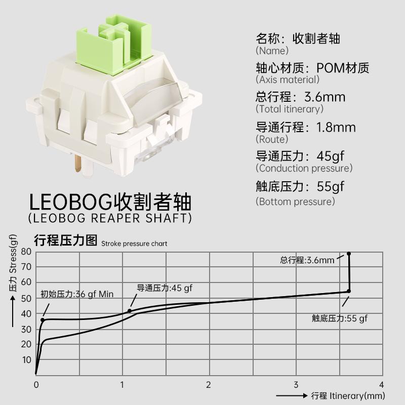 LEOBOG*AULA 100 PCS STAR VECTOR SWITCHES