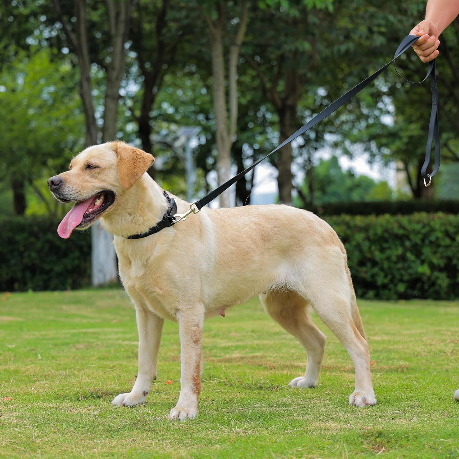 Dog Collar and Leash Set with Safety Locking Buckle, Nylon Pet Collars Adjustable for Small Medium Large Dogs, 3 Sizes,Dog Collar with Safety Locking Buckle, Adjustable Soft Breathable Nylon Collars for Small, Medium and Large Dogs