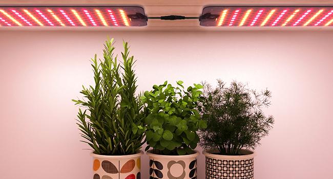 Barrina Ultra-Thin Grow Lights for Indoor Plants, 40W (4 x 10W) Full Spectrum, with 3/6/12H Auto On/Off Timer, 3 Spectrum Modes, 7 Dimmable Levels, 4 Packs