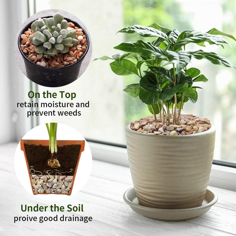 2 lbs Pea Gravel - 3/8 Inch Small Pebbles Rocks for Indoor Plants, Succulents, Cactus, Fish Tank, Terrarium, Landscaping and Decorative Stones(32 oz, 6-9 mm) 2 lbs Pea Gravel - 3/8 Inch Small Pebbles Rocks for Indoor Plants, Succulents, Cactus, Fish Tank, Terrarium, Landscaping and Decorative Stones(32 oz, 6-9 mm)