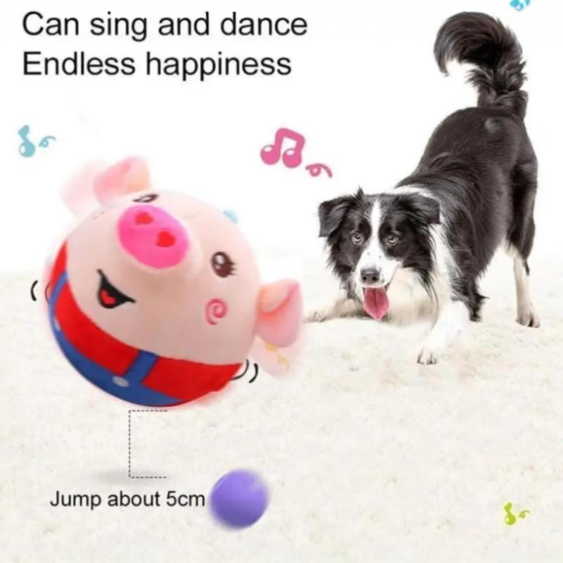 Wait Till You See This Pig Toy Bounce & Sing for Your Dog!