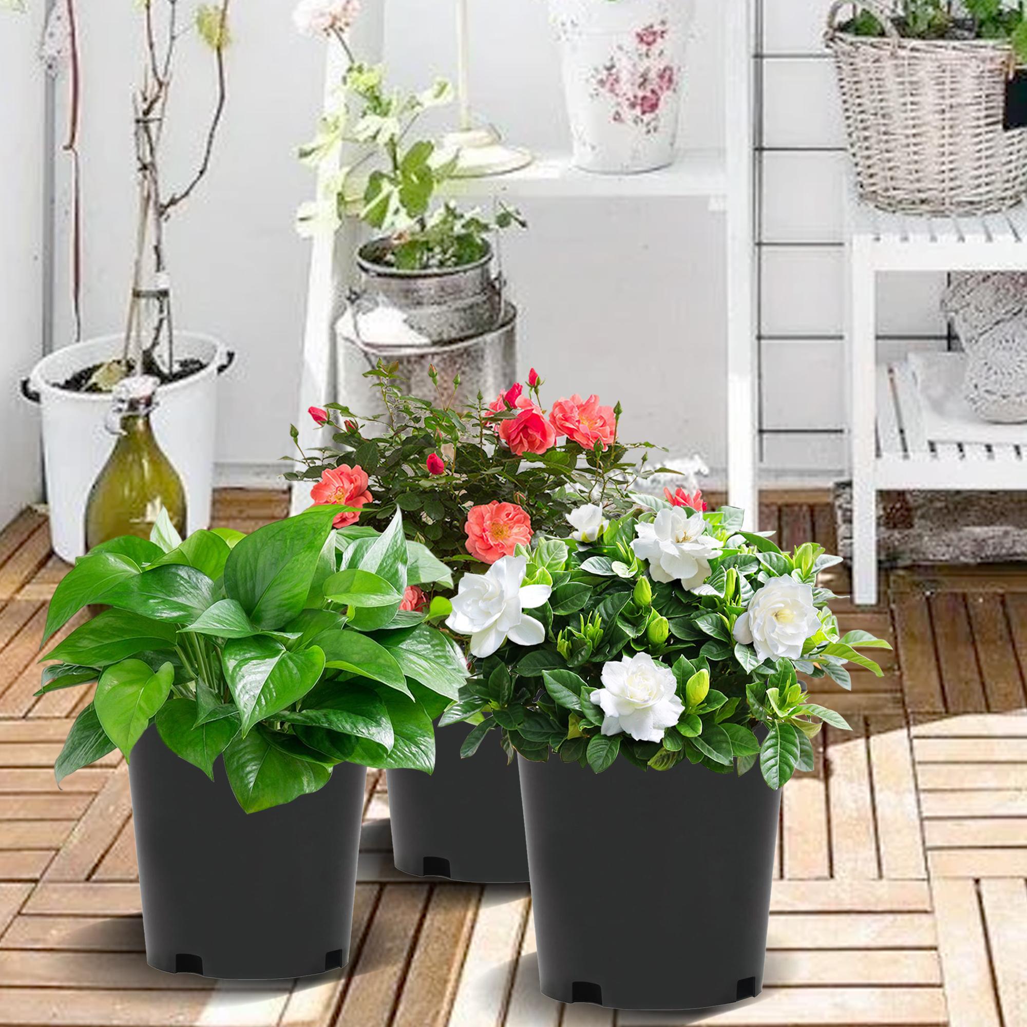 Findmall 10PC Black Plastic Multi-Size Trade Gal Modern Plant Pots, Premium Weatherproof Outdoor-Ready Root Nursery Pots with Garden Accessories for Specialty Garden Tools Findmall 10PC Black Plastic Multi-Size Trade Gal Modern Plant Pots, Premium Weatherproof Outdoor-Ready Root Nursery Pots with Garden Accessories for Specialty Garden Tools