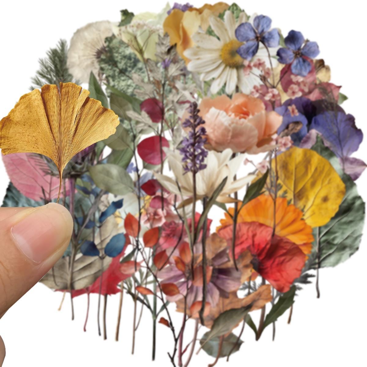 50-Piece Plant Stickers for Scrapbooking, Journaling & Crafting – Realistic Botanical Leaves, Ferns, and Tropical Plants, Self-Adhesive Decorative Stickers