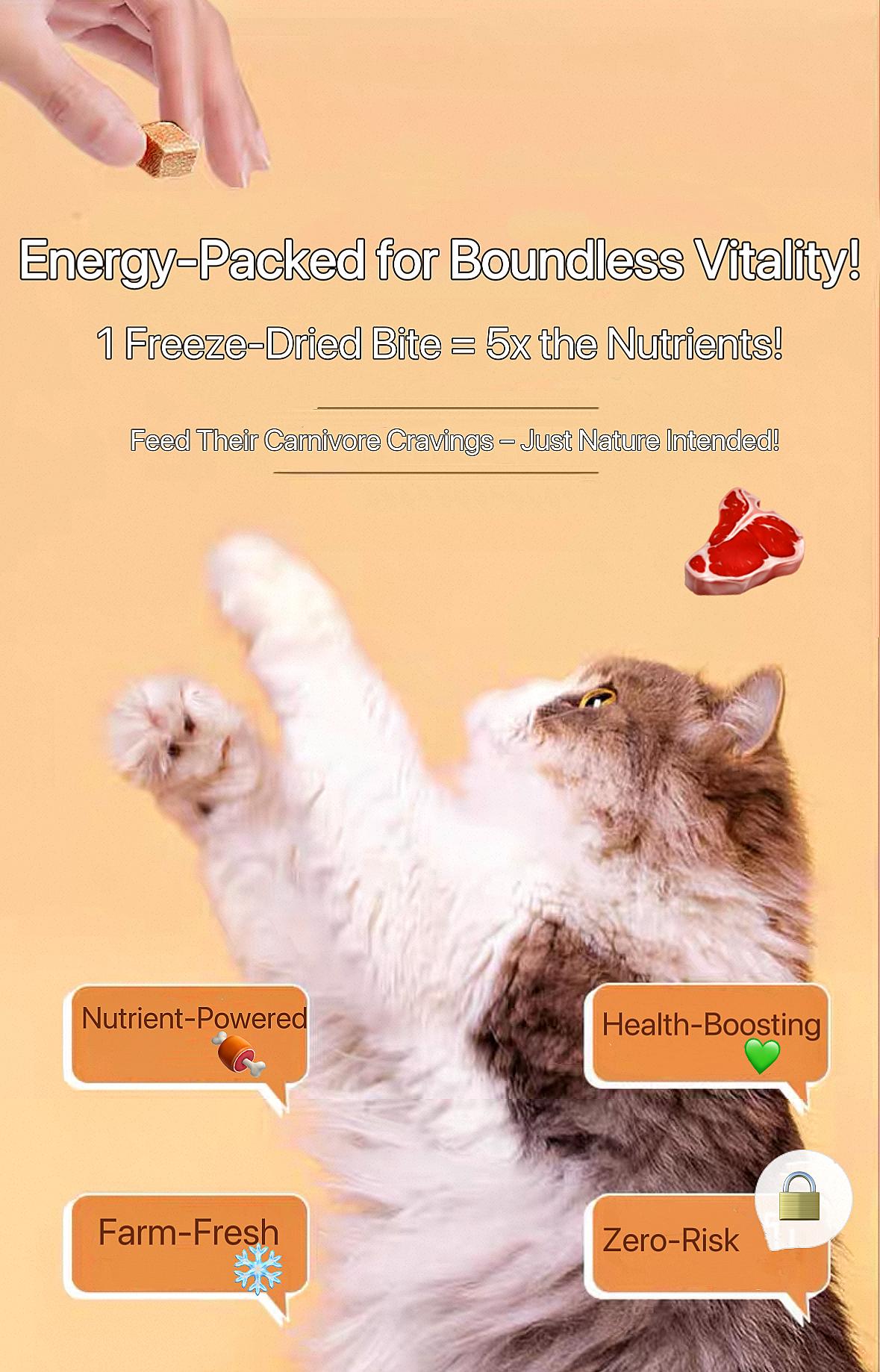 Pawfit Freeze-Dried Beef Liver Bites| 95% Nutrient Lock for Your Pet High-Protein Beef Liver Bites by Pawfit| All-Natural Freeze-Dried Pet Treats