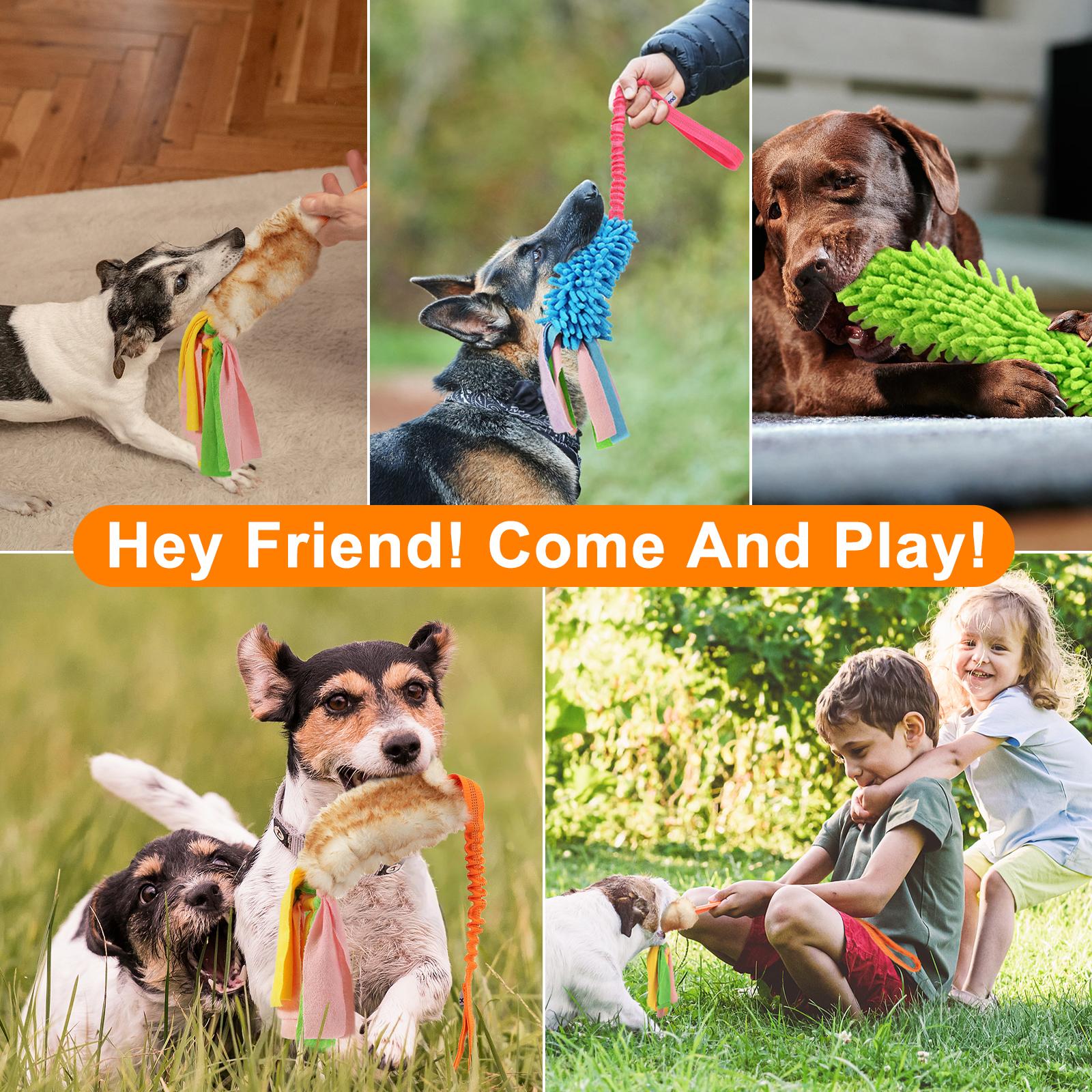 Pawaboo Pet Gifts Plush Toy for Dogs, Interactive Dog Chew Toy with Elastic Handle to Play, Soft Polar Fleece No Stuffing Puppy Toys for Small Dogs, Stimulating Pet Toys for Puppies with Colorful Strips