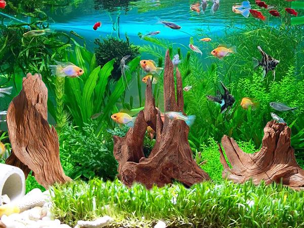 Driftwood for Aquarium Decor,Driftwood for Decorations on Fish Tank, Reptiles Bearded Dragon Accessories or Air Plants