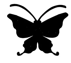 background preload poster image 