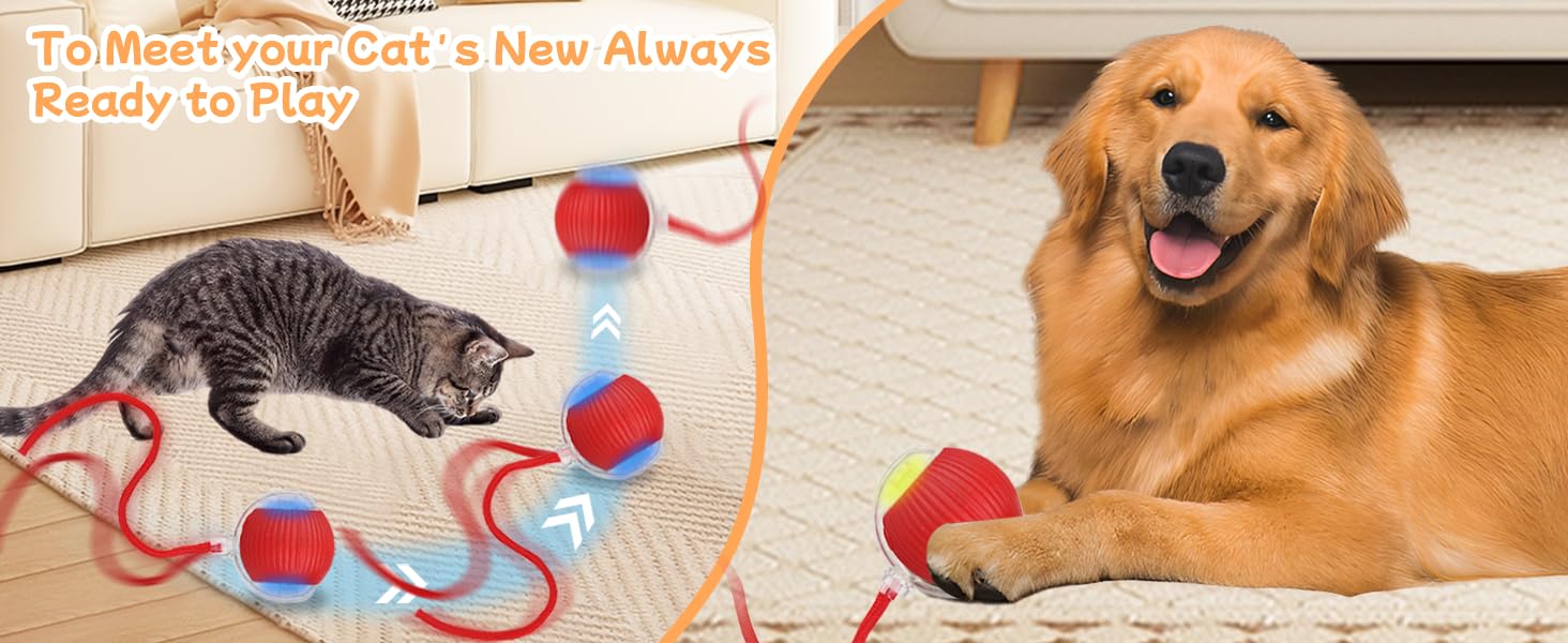 FuzzTik Cat Interactive Ball Toy, with Tail Automatic Rolling Ball, Rechargeable Smart Pet Interactive Toy, Cat Smart Ball dog  toys  fyi