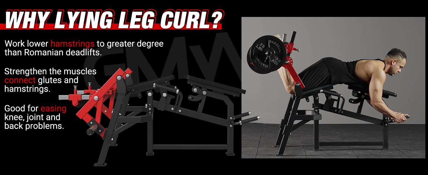 Leg Extension & Curl Machine - Single Leg Extension for Home Gym Fitness Workout Equipment, Adjustable Plate-Loaded Exercise Bench SpringStatements