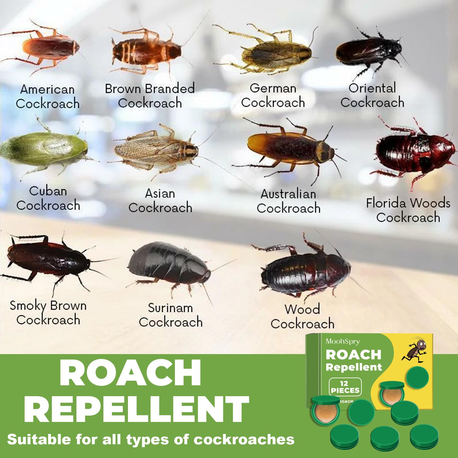MoonSpry Roach Repellent, Domestic Dormitory Kitchen Powerful Cleaning Cockroach Exterminator
