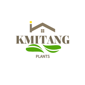 Kmitang Home Decor