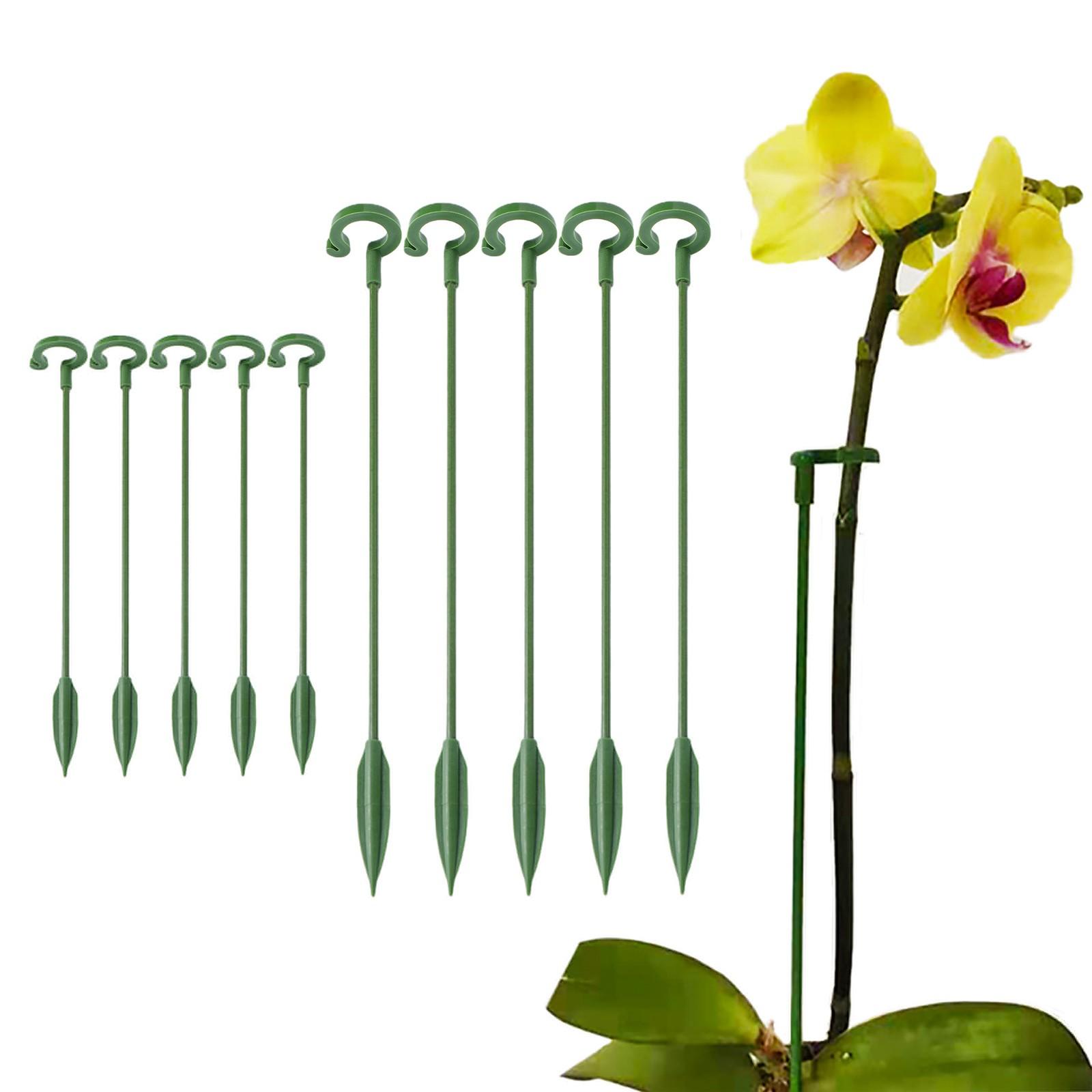 Garden Bonsai Orchid Stand, Butterfly Orchid Support Pole Plant Pot Flower Protector Rack Fixed 5pcs, Garden Gardening Supplies