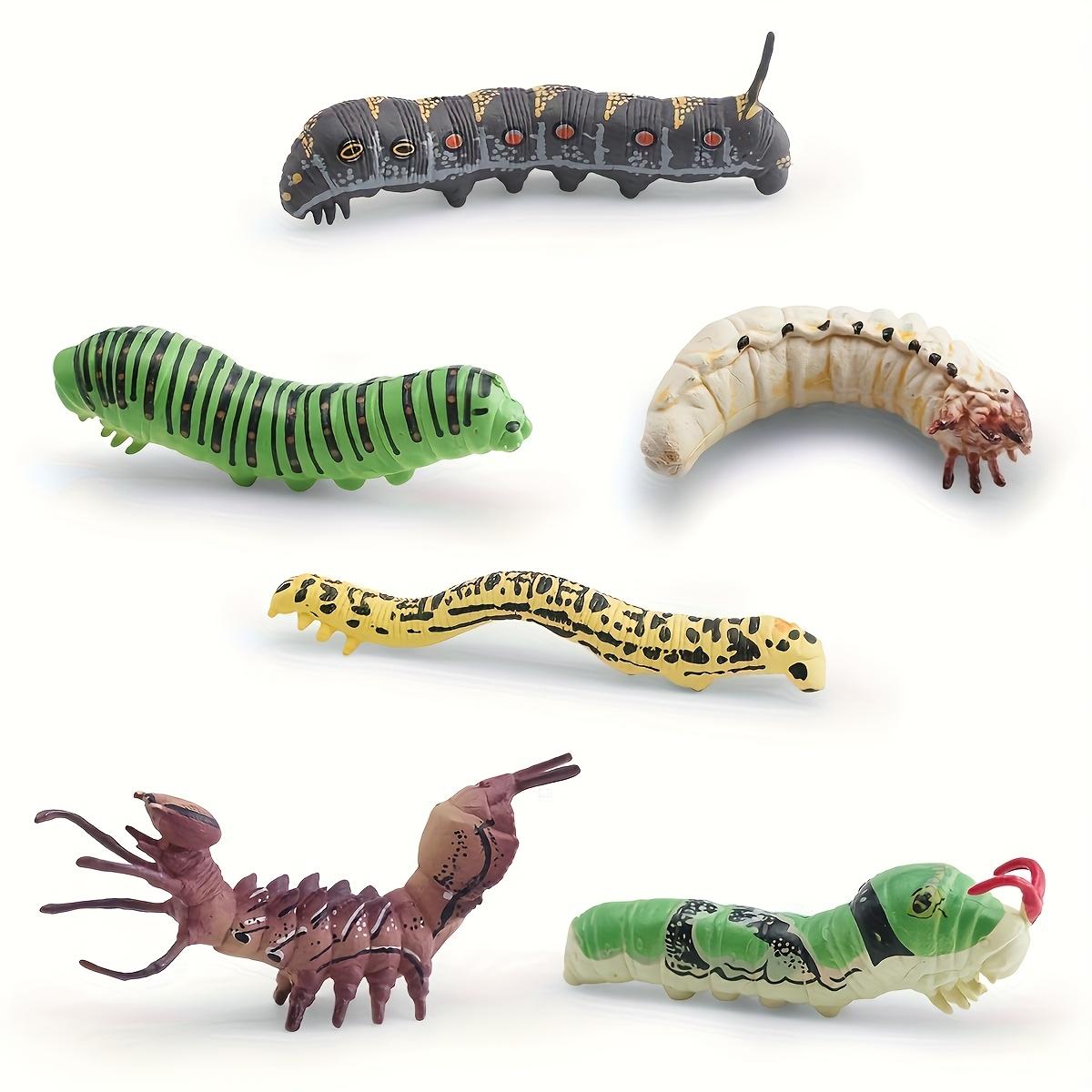 Realistic Insect Larva Model Set, Silkworm Larvae, Beetle Larvae ...