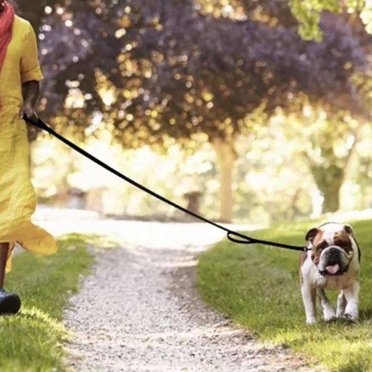 Dog Collar and Leash Set with Safety Locking Buckle, Nylon Pet Collars Adjustable for Small Medium Large Dogs, 3 Sizes,Dog Collar with Safety Locking Buckle, Adjustable Soft Breathable Nylon Collars for Small, Medium and Large Dogs Dog Collar and Leash Set with Safety Locking Buckle, Nylon Pet Collars Adjustable for Small Medium Large Dogs, 3 Sizes,Dog Collar with Safety Locking Buckle, Adjustable Soft Breathable Nylon Collars for Small, Medium and Large Dogs