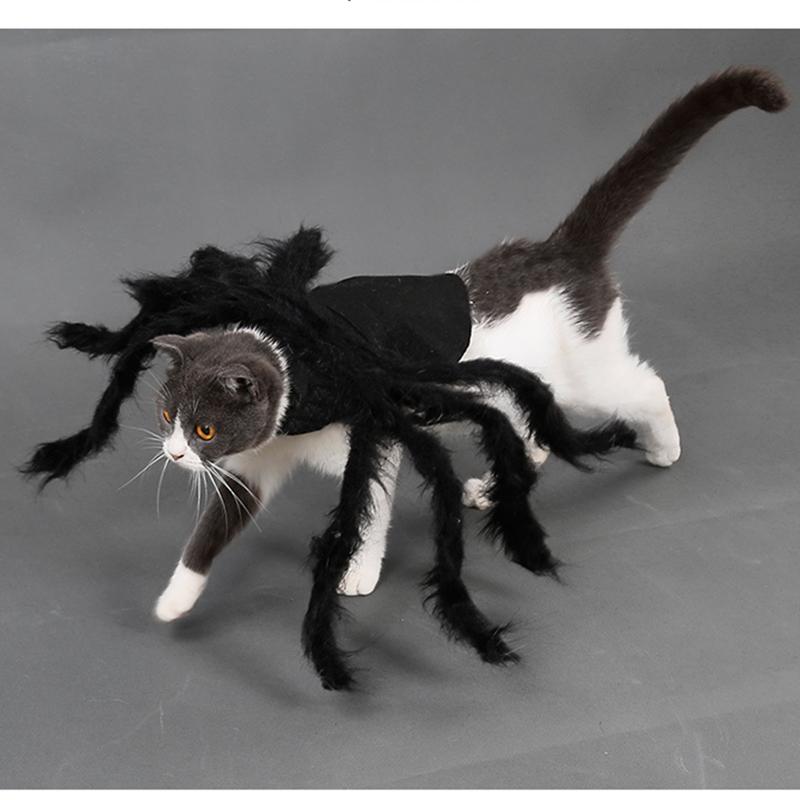 Cat Halloween Costume Cat Bat Wings - Pet Bat Costume Dress Costume Outfit Wing for Small Dogs Cats 2025 Newest Pet Halloween