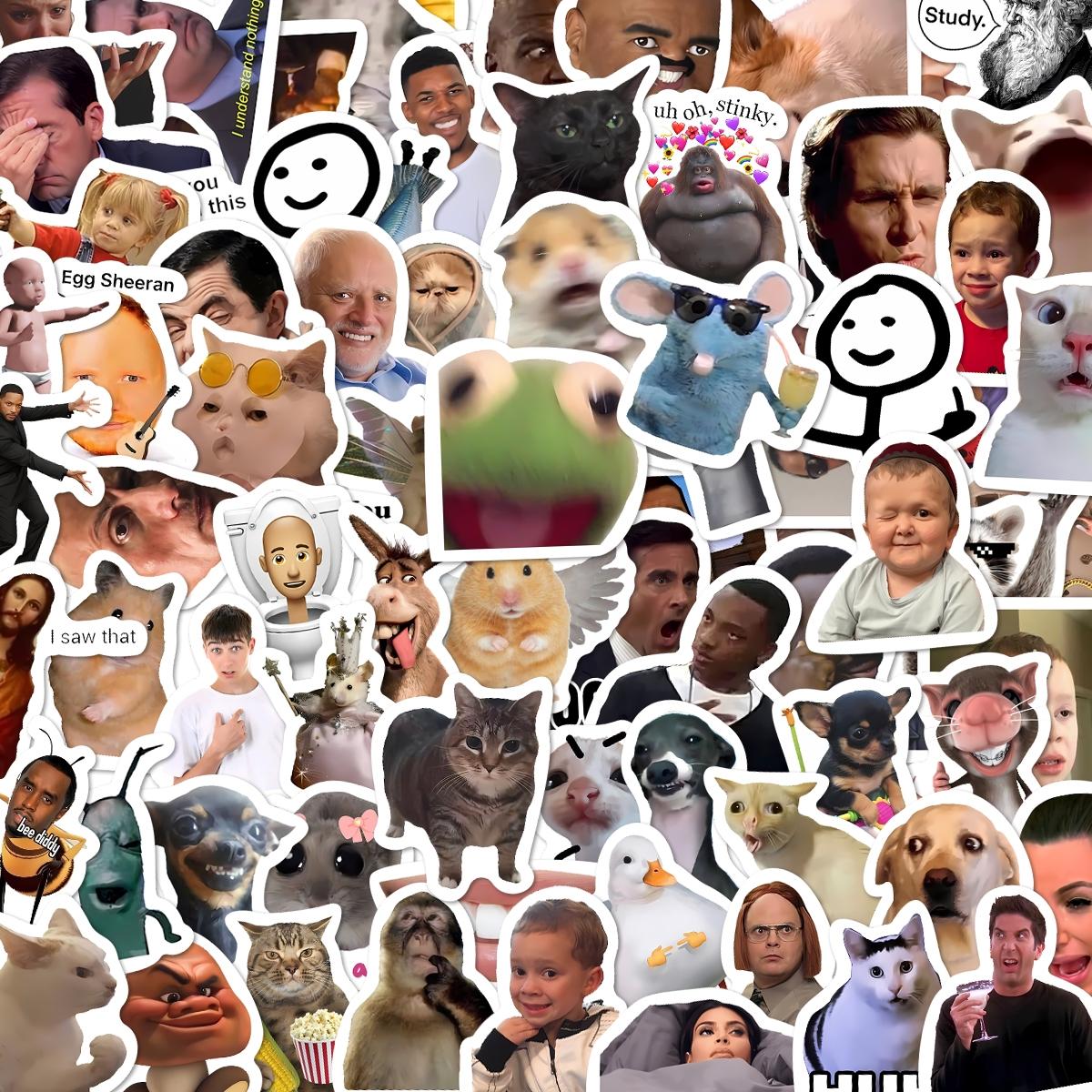 100Pcs Funny Meme & Viral Stickers Pack, Waterproof Trendy Internet ...