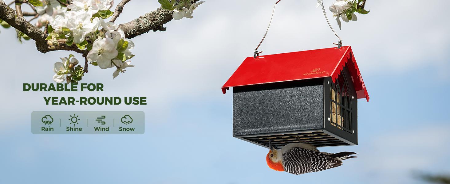 Double Upside Down All Metal Suet Feeder with Weatherproof Roof, for Outdoors Hanging, Great for Downy Woodpecker, Nuthatch, Chickadee, Black