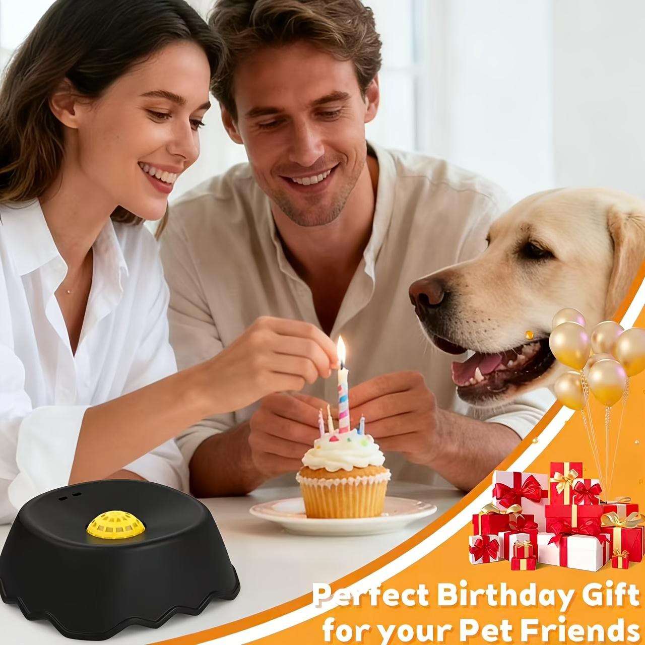 Pet non-slip fun ball slow feeder bowl, suitable for both cats and dogs, a fun and interactive feeding tool.