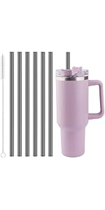 12 Inch Tritan Replacement Straws for Stanley 40oz Tumbler - 6 Pack Reusable Long Straw with Cleaning Brush, Fits 30oz & 40oz Stanley Cup Accessories, BPA-Free (6 Colors)