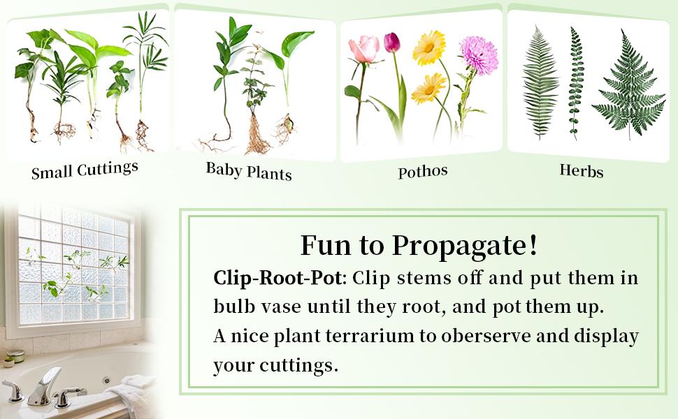 Nuptio Set of 5 Hanging Modern Planters, Glass Terrarium, Plant Propagation Stations Hydroponic Wall Vases for Air Plants Flowers Indoor Window Home Decor