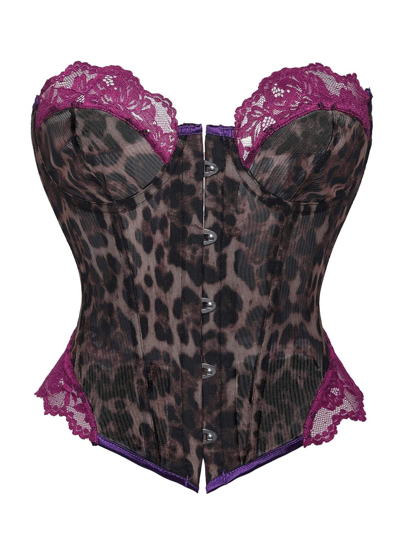 Y2K Leopard Print Lace Trim Corset Top Front Buckle Boned Waist Trainer Sheer Mesh Slimming Bustier For Women Club Party Date Night Outfit