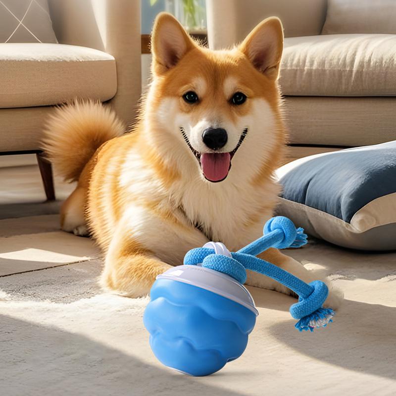 Smart Dog Toy, Interactive Chew, 1 Box USB Rechargeable Bite Resistant Dog Toy, Self Entertaining Toy for Dogs to Relieve Boredom, Dog Walking Toy