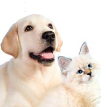 20 Pack Baby Corner Protector Clear Furniture Edge Guards for Baby Safety Proof Covers Table Desk Corner Protection Guards