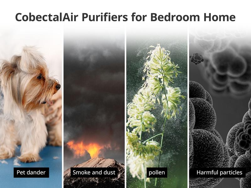 Fetions  HEPA Air Purifier with Aromatherapy for Home, 3-stage H13 True HEPA Filtration, Air Cleaner with Ambient light, Effectively removes allergens such as pet hair, dust, pollen, smoke, etc.