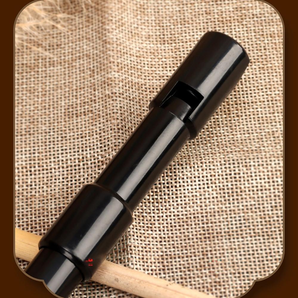 Schwinger 6 Hole Recorder Key D Resin, Portable Non-Toxic Flute Recorder for Beginners, Ideal for Kids Music Learning