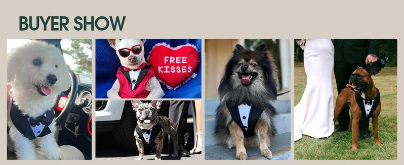 Kuoser Dog Tuxedo Harness, Adjustable Dog Harness No Pull for Small Medium Dogs, Dog Wedding Suit with Bow Tie Party Costume