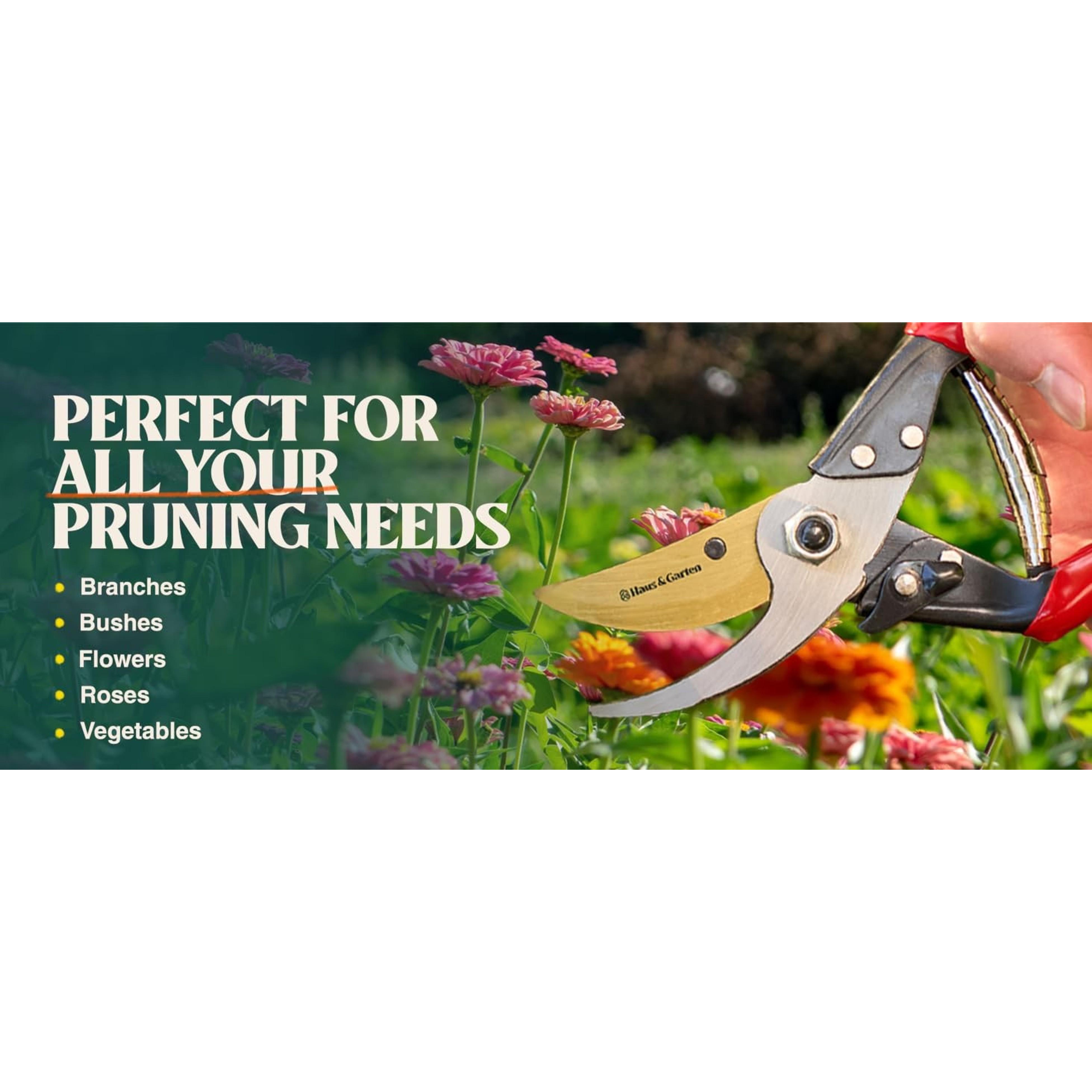 ForgedPRO 8.75" Heavy Duty Professional Titanium Bypass Pruning Shears - Use As Pruners, Garden Shears, Handheld Pruning Shears For Gardening, Clippers, Garden Scissors, Pruner ToolGift ForgedPRO 8.75" Heavy Duty Professional Titanium Bypass Pruning Shears - Use As Pruners, Garden Shears, Handheld Pruning Shears For Gardening, Clippers, Garden Scissors, Pruner ToolGift