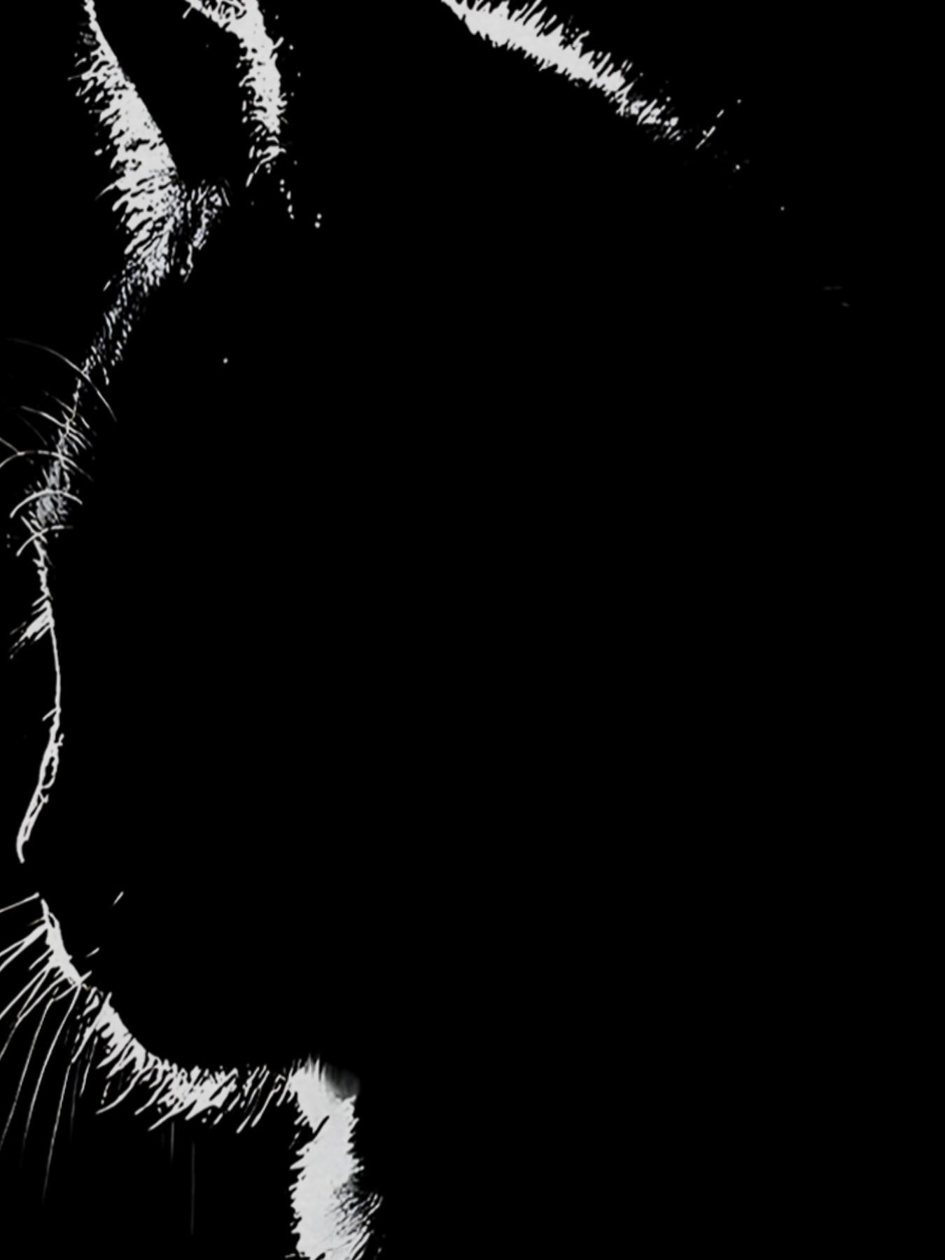 New Casual 3D American Digital Print Round Neck T-Shirt, Comfortable Fabric, Breathable, Not Hot, Short Sleeve, All Seasons